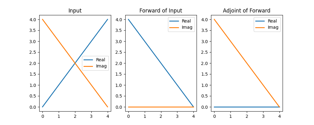 Input, Forward of Input, Adjoint of Forward