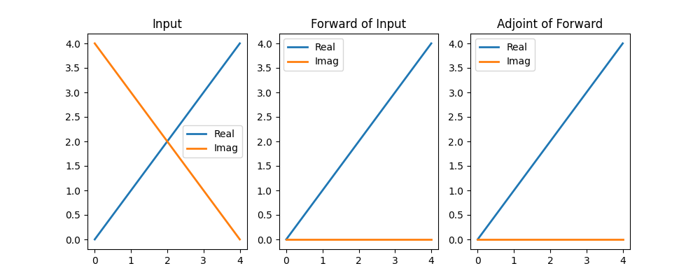 Input, Forward of Input, Adjoint of Forward