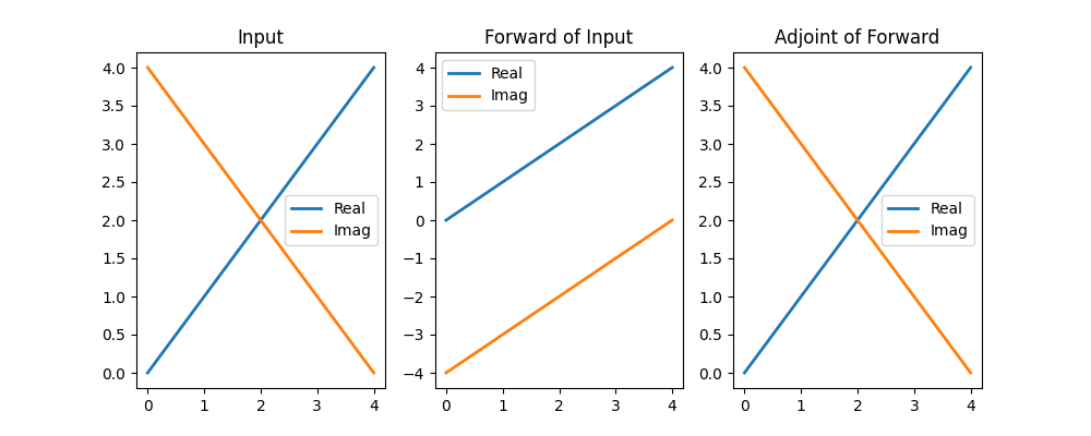 Input, Forward of Input, Adjoint of Forward