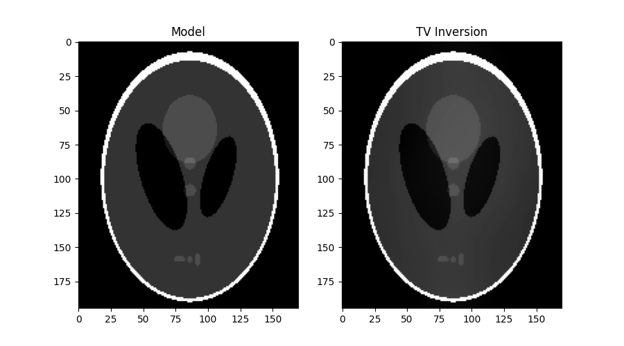 Model, TV Inversion