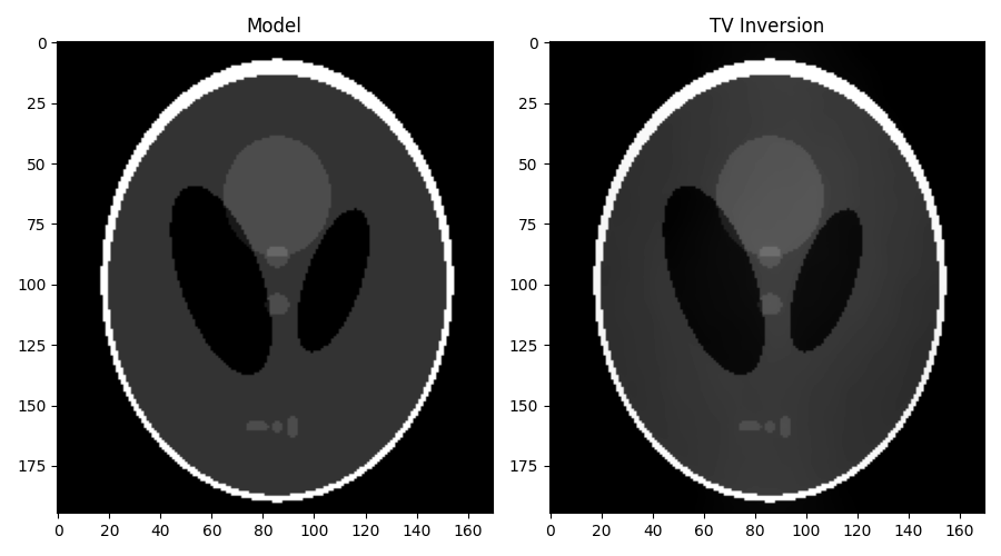 Model, TV Inversion