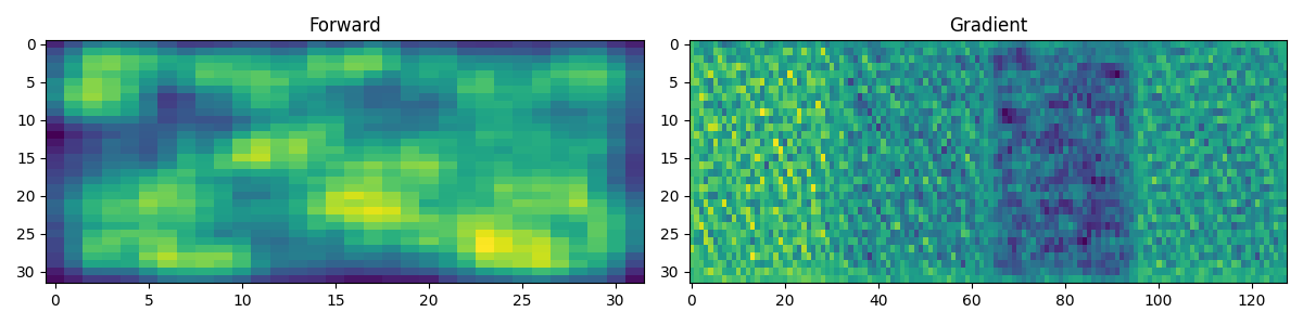 Forward, Gradient