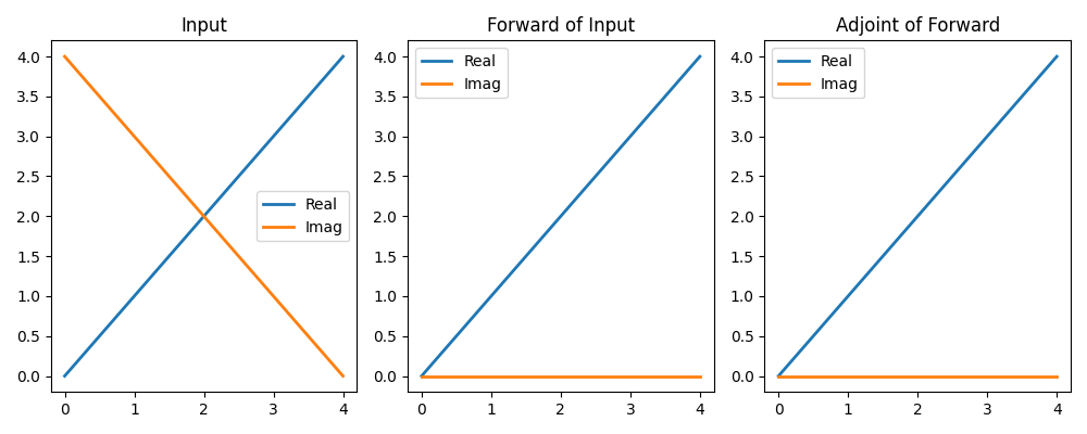 Input, Forward of Input, Adjoint of Forward