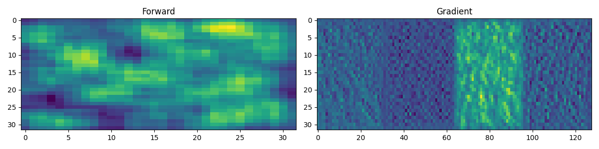 Forward, Gradient
