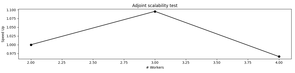 Adjoint scalability test