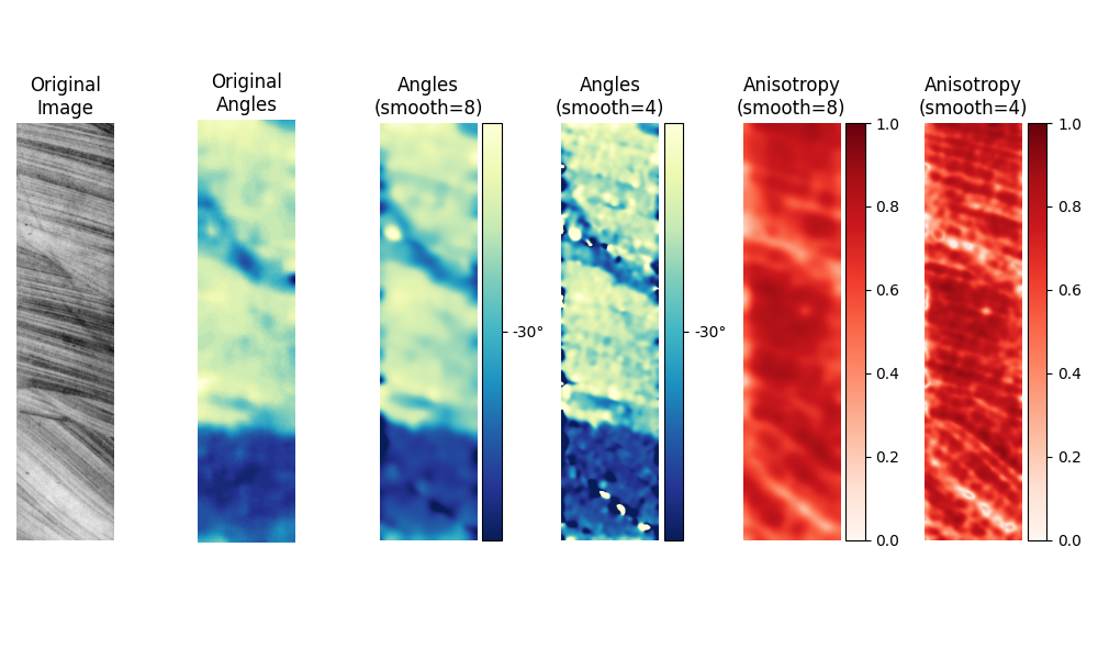 Original Image, Original Angles, Angles (smooth=8), Angles (smooth=4), Anisotropy (smooth=8), Anisotropy (smooth=4)